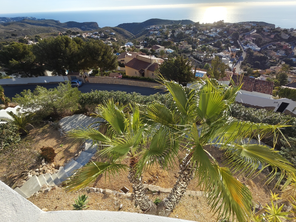 Vue surélevée depuis la terrasse sur un jardin méditerranéen en restanques avec palmiers, escaliers en pierre et vue panoramique sur la mer.