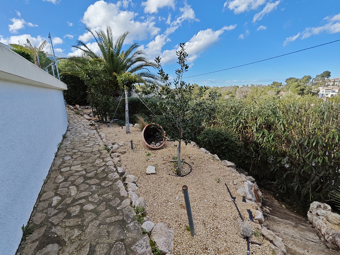 Allée pavée en pierre bordant un jardin méditerranéen avec parterres de gravier, jeunes oliviers et palmiers sous un ciel bleu.