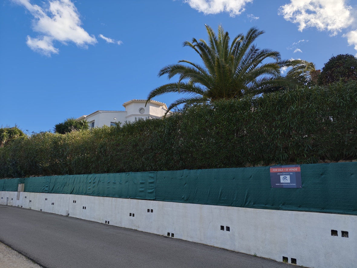 Vue extérieure du périmètre de la propriété avec un mur de soutènement blanc, un brise-vue vert et un palmier mature sous un ciel bleu.
