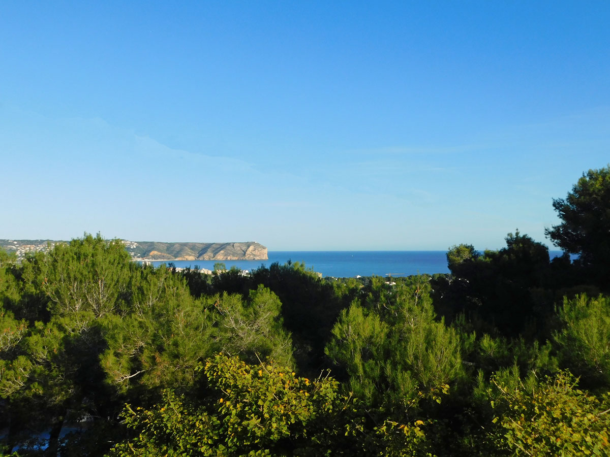 Vue panoramique sur la mer Méditerranée et le Cap San Antonio, entourée d'une pinède verdoyante sous un ciel azur dégagé.