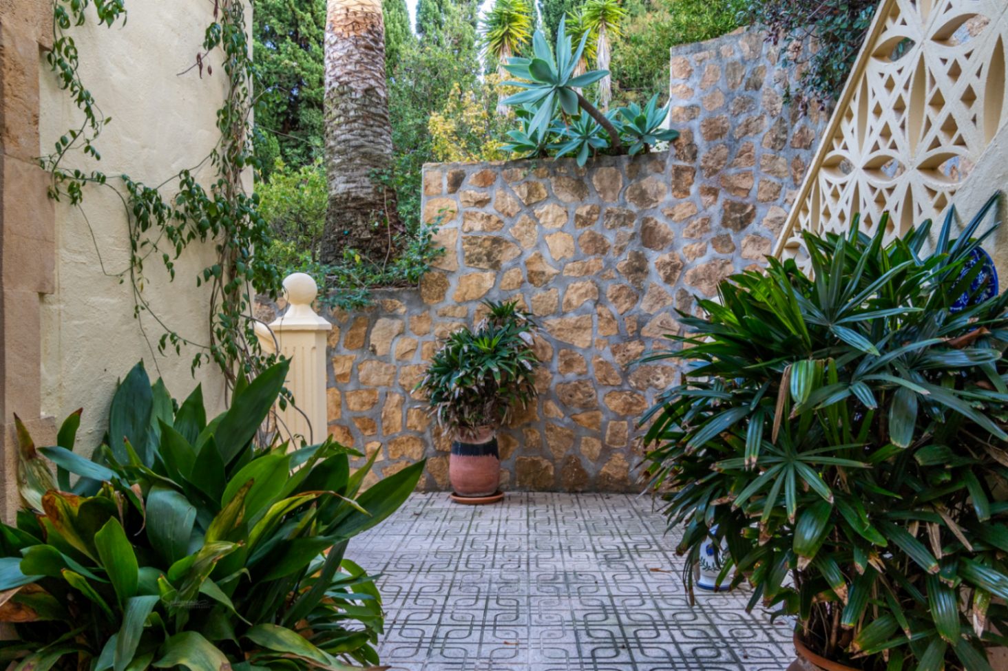 Patio extérieur avec sol en grès décoré, murs en pierre naturelle et une sélection de plantes méditerranéennes et de palmiers.