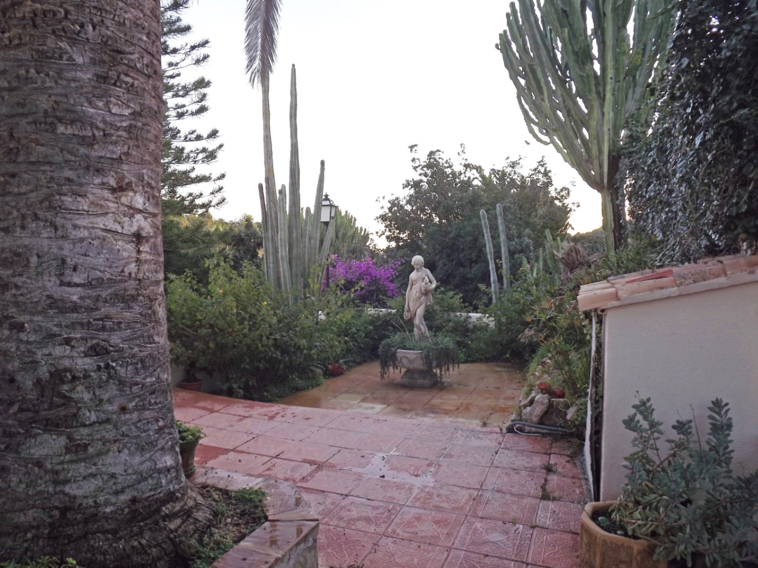 Patio extérieur avec carrelage en terre cuite, orné d'une statue classique et entouré d'une végétation méditerranéenne dense, incluant de grands cactus et des palmiers.