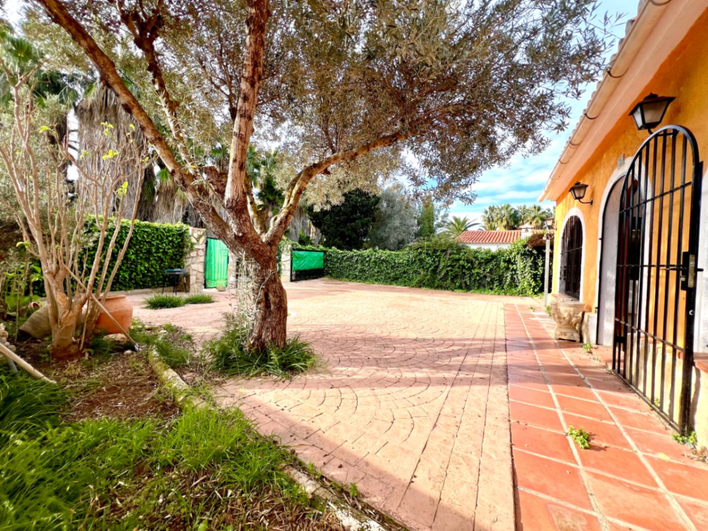 Patio extérieur pavé avec un motif en éventail, agrémenté d'un olivier mature et bordé par une façade méditerranéenne aux ouvertures voûtées sécurisées.