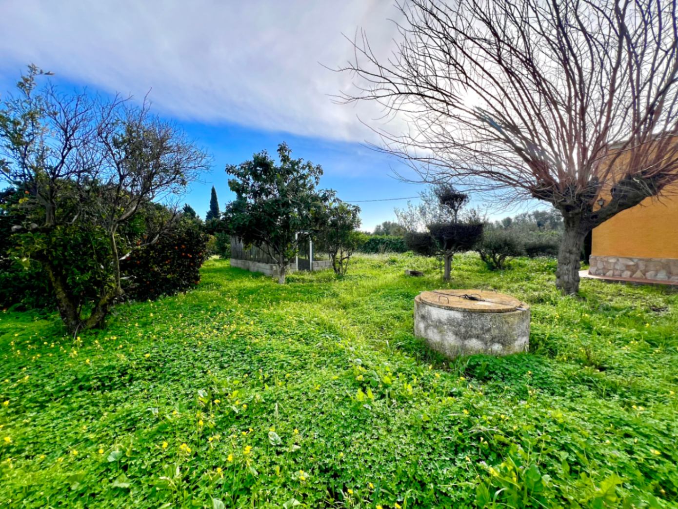 Vaste terrain naturel comprenant un puits traditionnel, des arbres fruitiers variés et une végétation sauvage luxuriante.