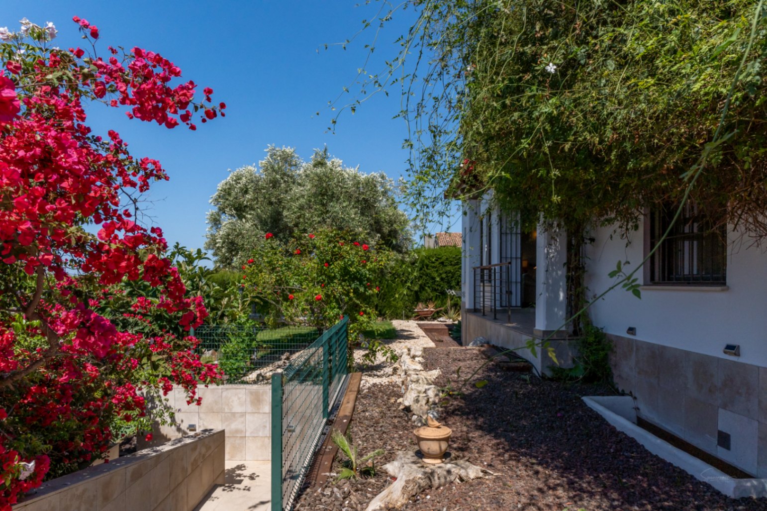 Jardin méditerranéen avec bougainvilliers en fleurs, allées de gravier et façade blanche. La végétation luxuriante entoure la propriété, offrant un cadre extérieur naturel et soigné.