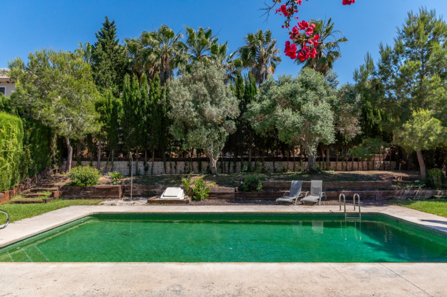 Piscine extérieure entourée d'un jardin méditerranéen avec palmiers et oliviers, agrémentée de terrasses en bois et de murs en pierre.