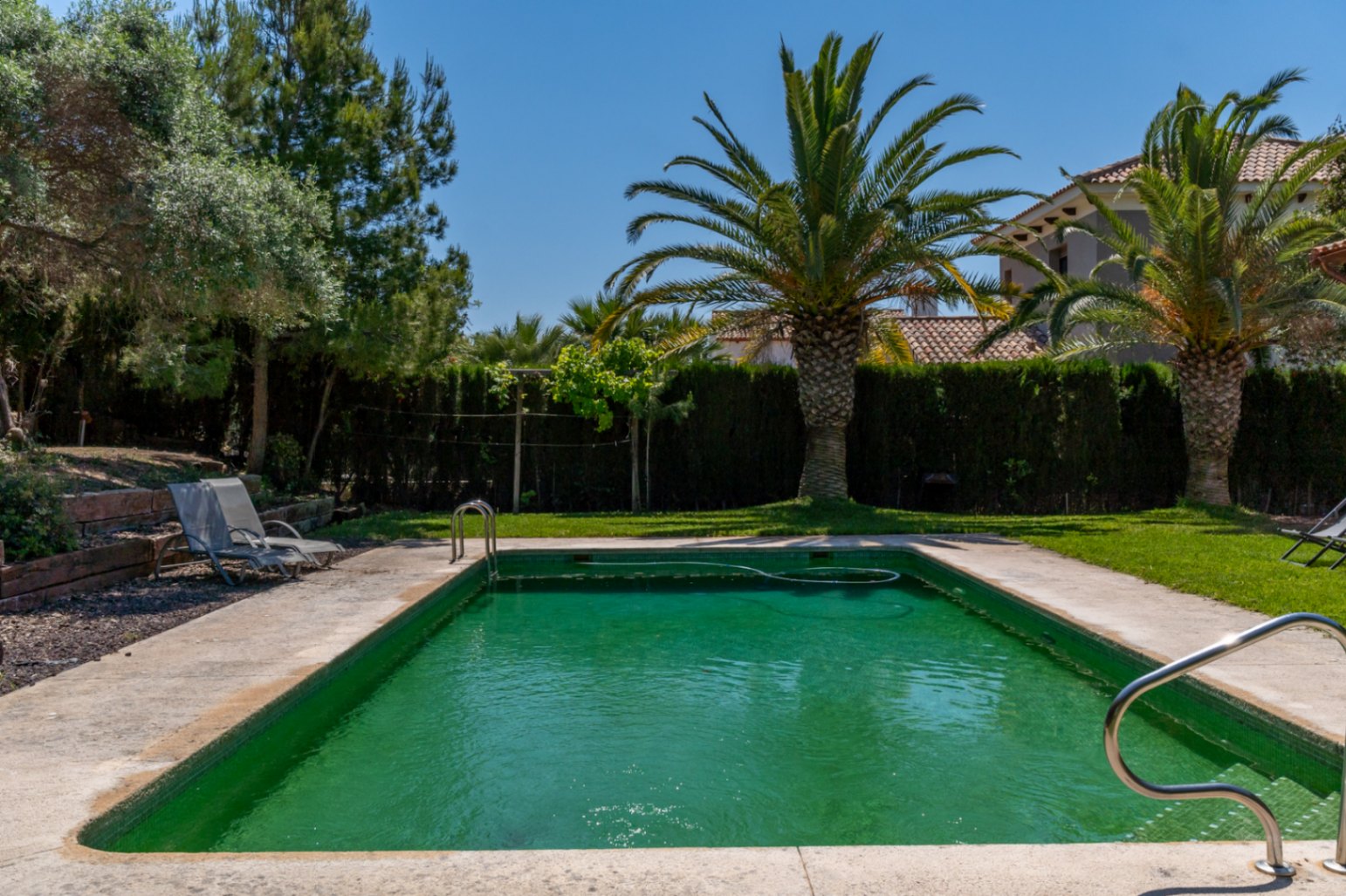 Piscine extérieure entourée d'un jardin méditerranéen avec pelouse naturelle, palmiers matures et haies pour une intimité totale.