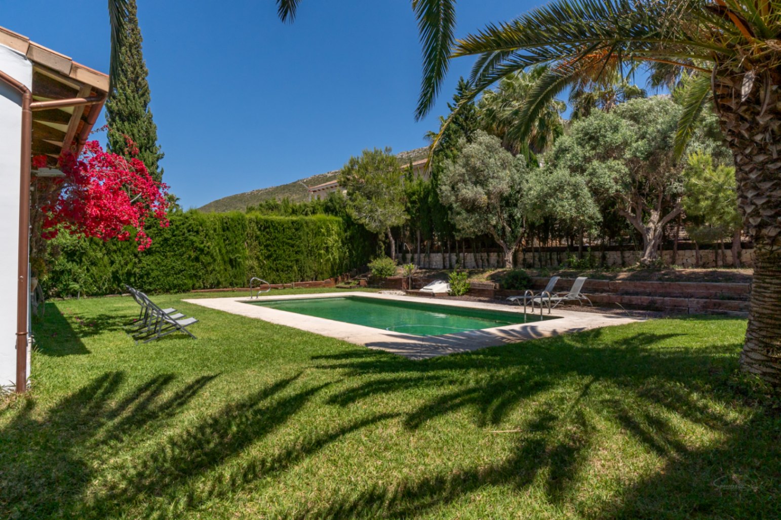 Piscine extérieure entourée d'un jardin méditerranéen avec pelouse, palmiers et bougainvilliers, offrant une vue dégagée sur les collines.
