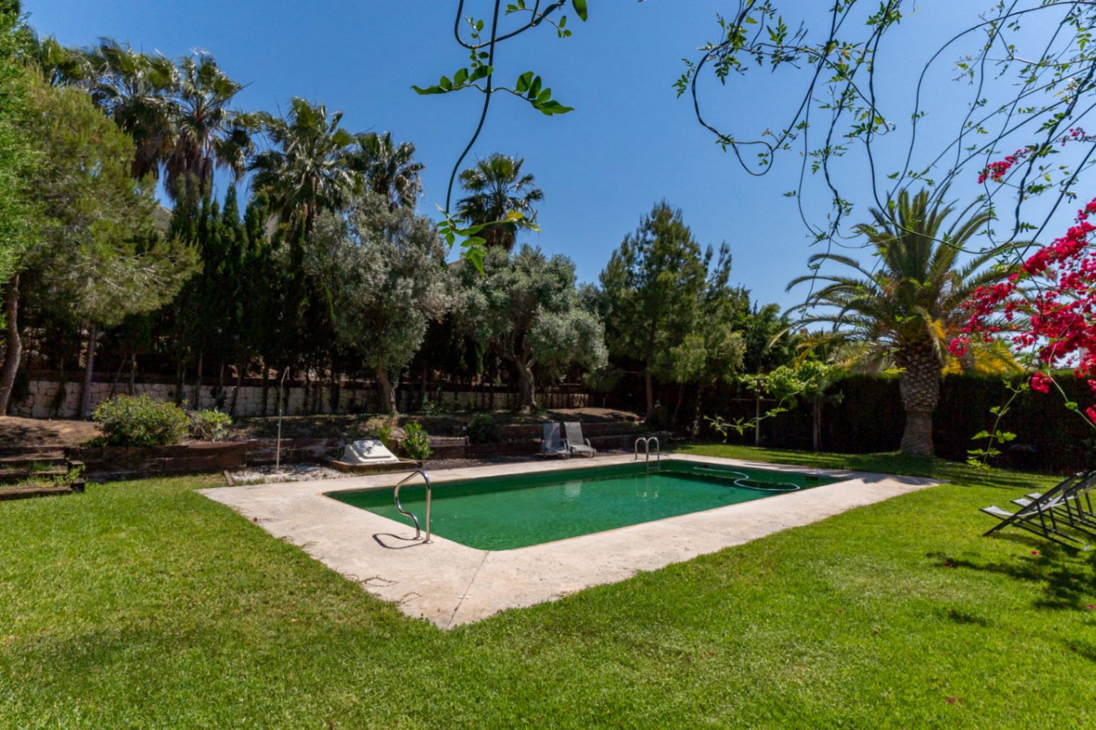 Piscine extérieure entourée d'une pelouse verdoyante et d'un jardin méditerranéen avec palmiers, pins et bougainvilliers.