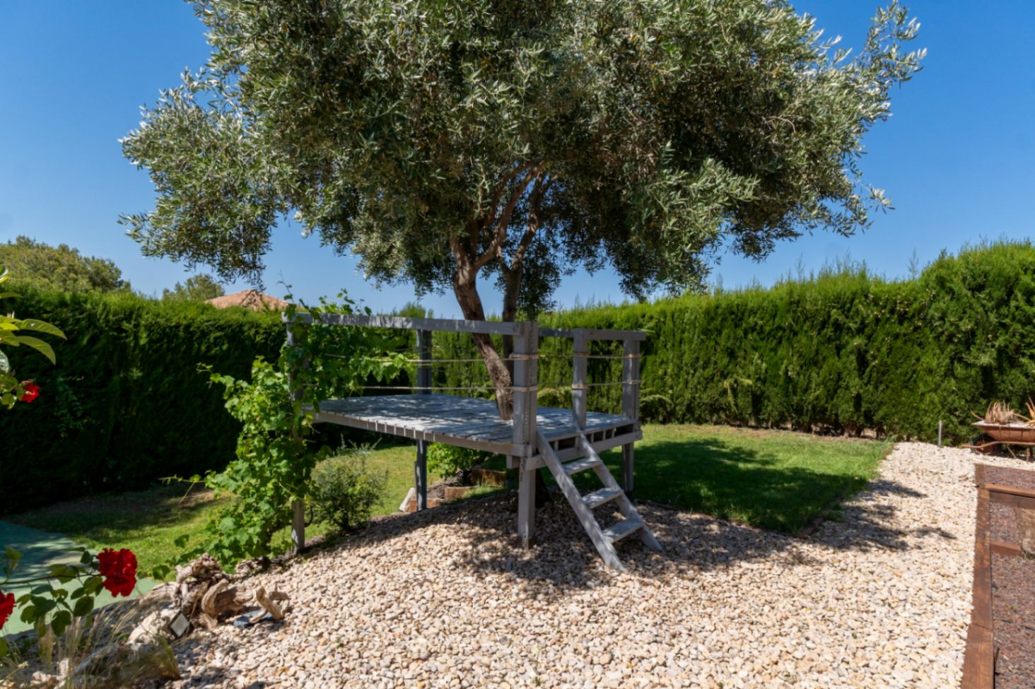 Plateforme surélevée en bois construite autour d'un olivier, avec échelle d'accès et garde-corps en corde, située dans un jardin paysager bordé de haies.