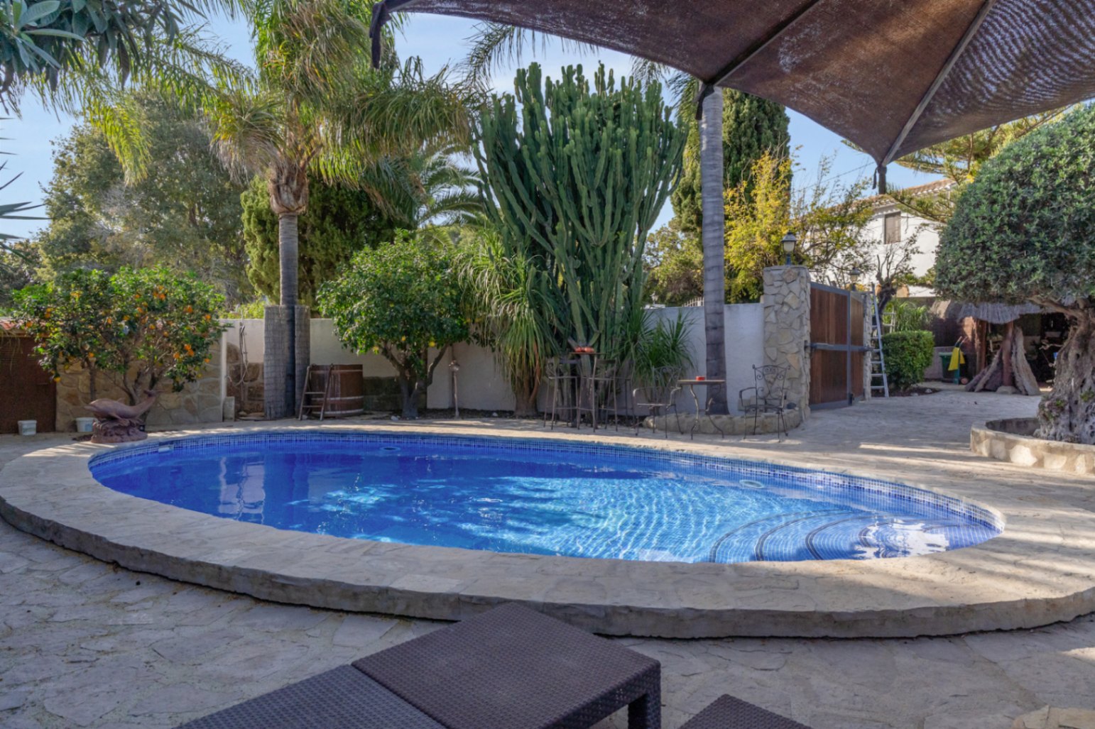 Piscine de forme ovale avec mosaïque bleue, entourée d'un dallage en pierre naturelle et d'un jardin méditerranéen luxuriant avec palmiers et cactus.