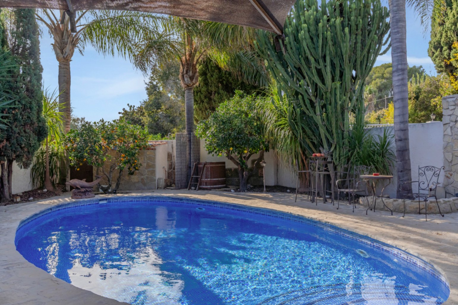 Piscine privée avec mosaïque bleue, entourée d'un jardin méditerranéen luxuriant avec palmiers, agrumes et un coin salon en fer forgé sur terrasse en pierre.