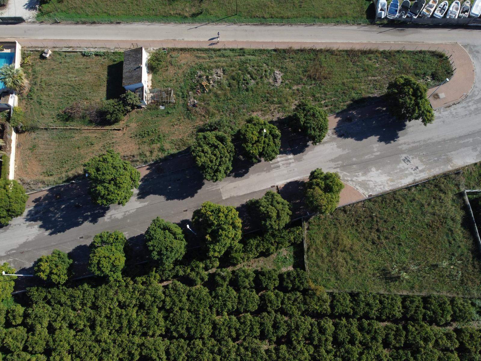 Vue aérienne zénithale du terrain montrant l'accès goudronné, les arbres matures et la proximité immédiate avec des terres agricoles protégées à Jávea.