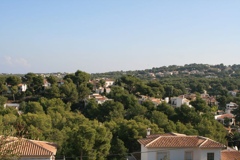 Vue panoramique depuis le terrain sur un quartier résidentiel niché dans une pinède méditerranéenne, avec des villas traditionnelles aux toits de tuiles.