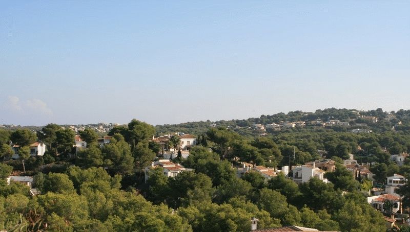 Vue panoramique surélevée sur une vallée résidentielle à Costa Nova, présentant des villas blanches traditionnelles nichées dans une forêt de pins méditerranéens.