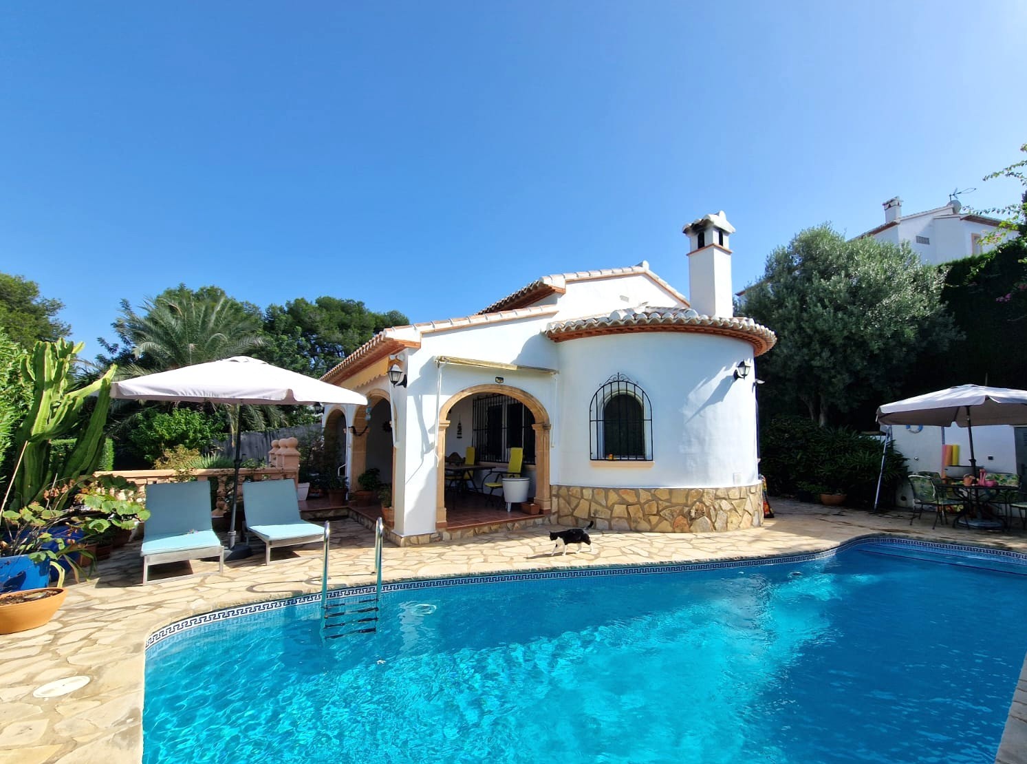 Vue extérieure de la villa avec façade incurvée, terrasse en pierre naturelle et piscine privée bordée de plantes méditerranéennes.