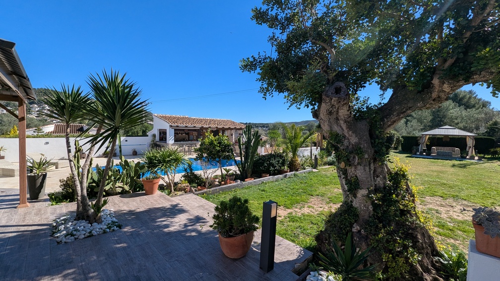 Jardin méditerranéen paysager avec piscine, cuisine d'été équipée et gazebo ombragé sur une pelouse soignée bordée d'oliviers.