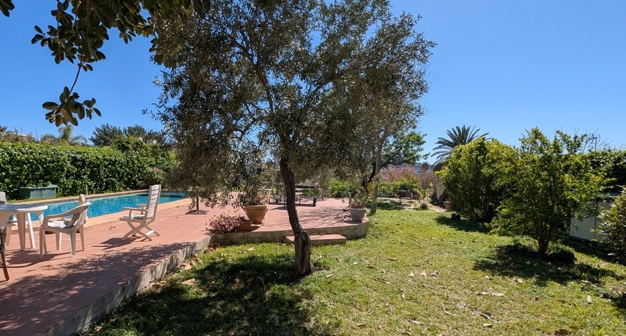 Piscine privée rectangulaire bordée d'une terrasse en terre cuite et d'un jardin avec pelouse, oliviers et végétation méditerranéenne.