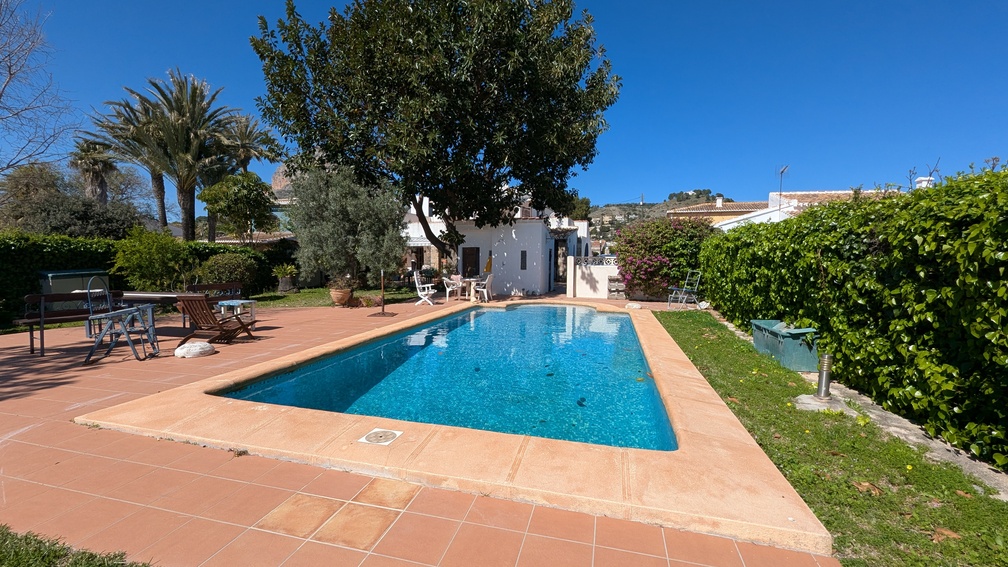 Piscine privée rectangulaire entourée d'une terrasse en terre cuite et d'un jardin méditerranéen avec des palmiers et des haies de protection.