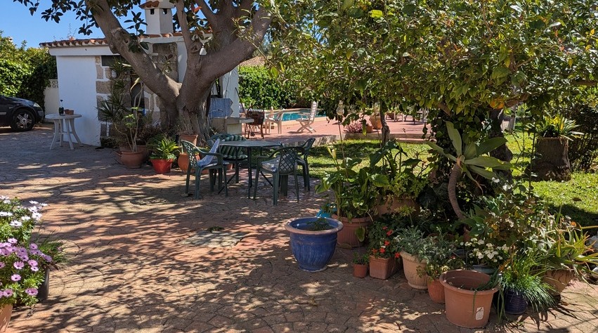 Terrasse de jardin pavée et ombragée par de grands arbres, avec un coin repas extérieur, des plantes en pots et une vue sur la piscine privée.