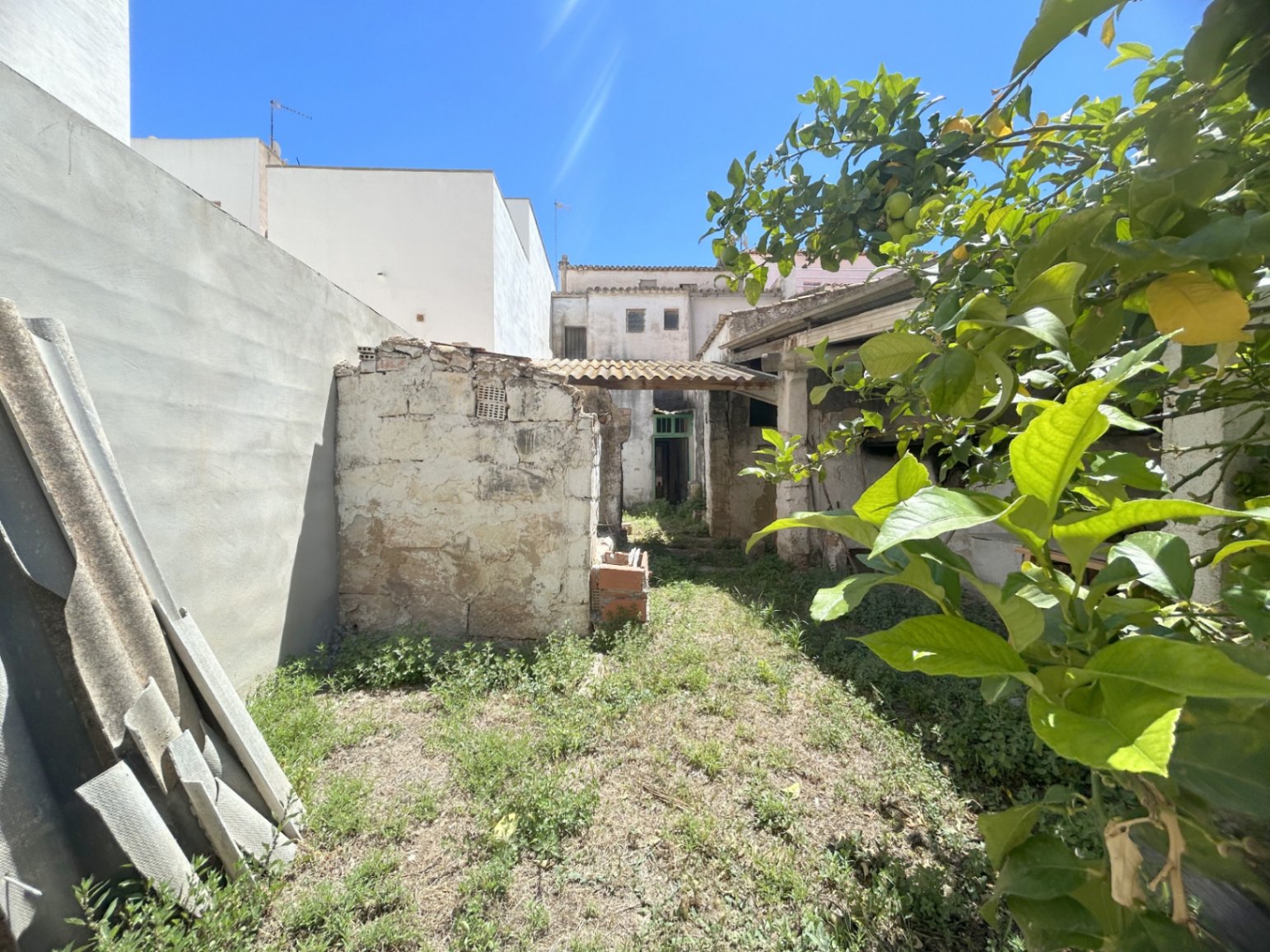 Jardin arrière avec murs en pierre d'origine, citronnier et dépendances rustiques, offrant un espace extérieur privé à fort potentiel de rénovation.