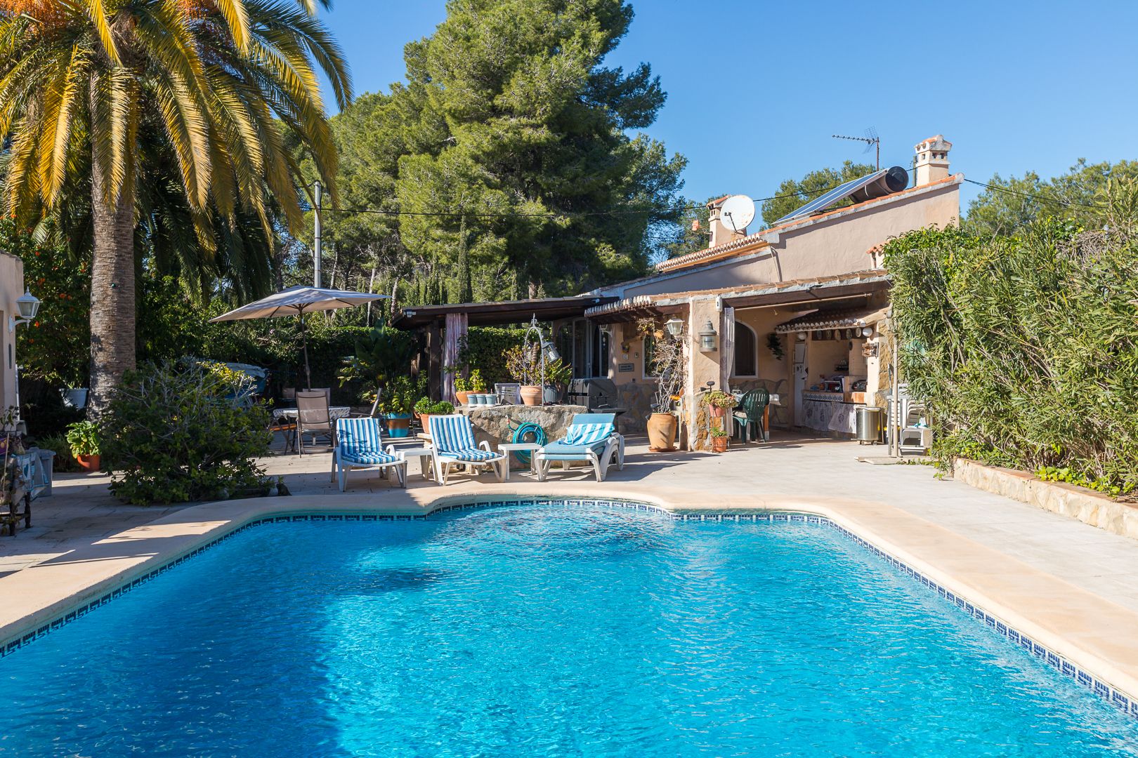 Piscine carrelée de bleu bordée d'une terrasse ensoleillée, avec cuisine d'été couverte et panneaux solaires thermiques sur le toit, entourée de pins et de palmiers.