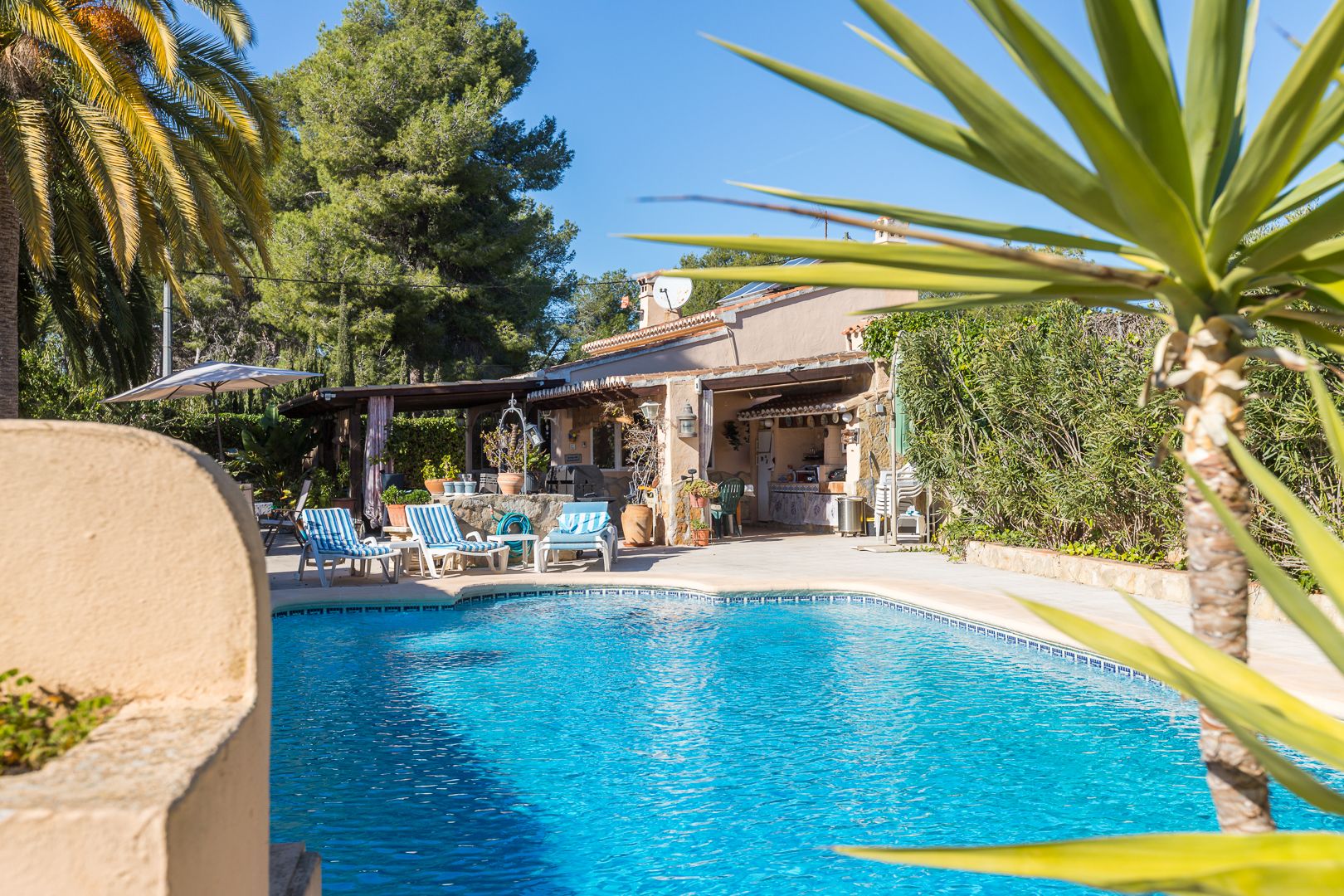 Piscine chauffée entourée d'une terrasse ensoleillée avec transats, située à côté d'une cuisine d'été couverte et d'un jardin arboré.