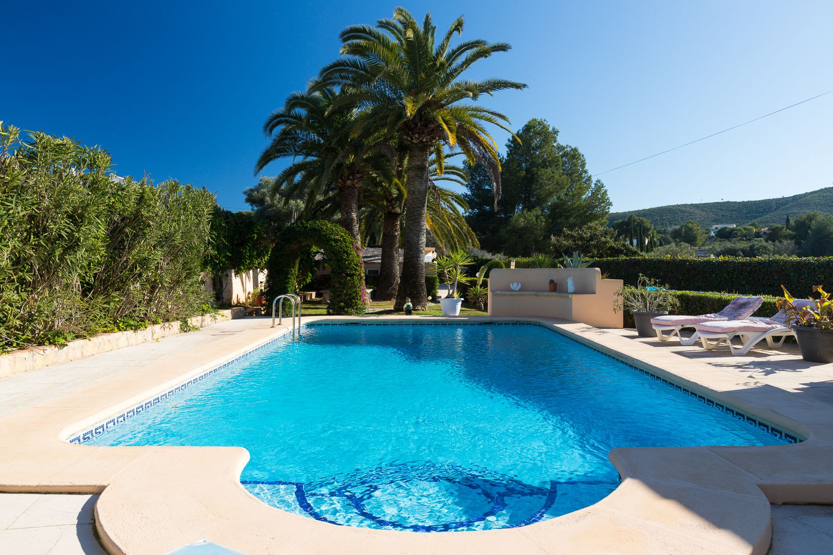 Piscine rectangulaire avec escalier intégré, entourée d'une terrasse en pierre, de palmiers matures et d'un jardin paysager avec vue sur les collines.