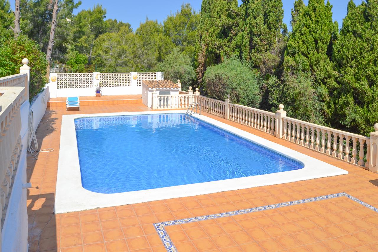 Piscine rectangulaire de 12x6m en mosaïque bleue, entourée d'une terrasse en terre cuite avec bordures décoratives et balustrades en pierre dans un cadre boisé.