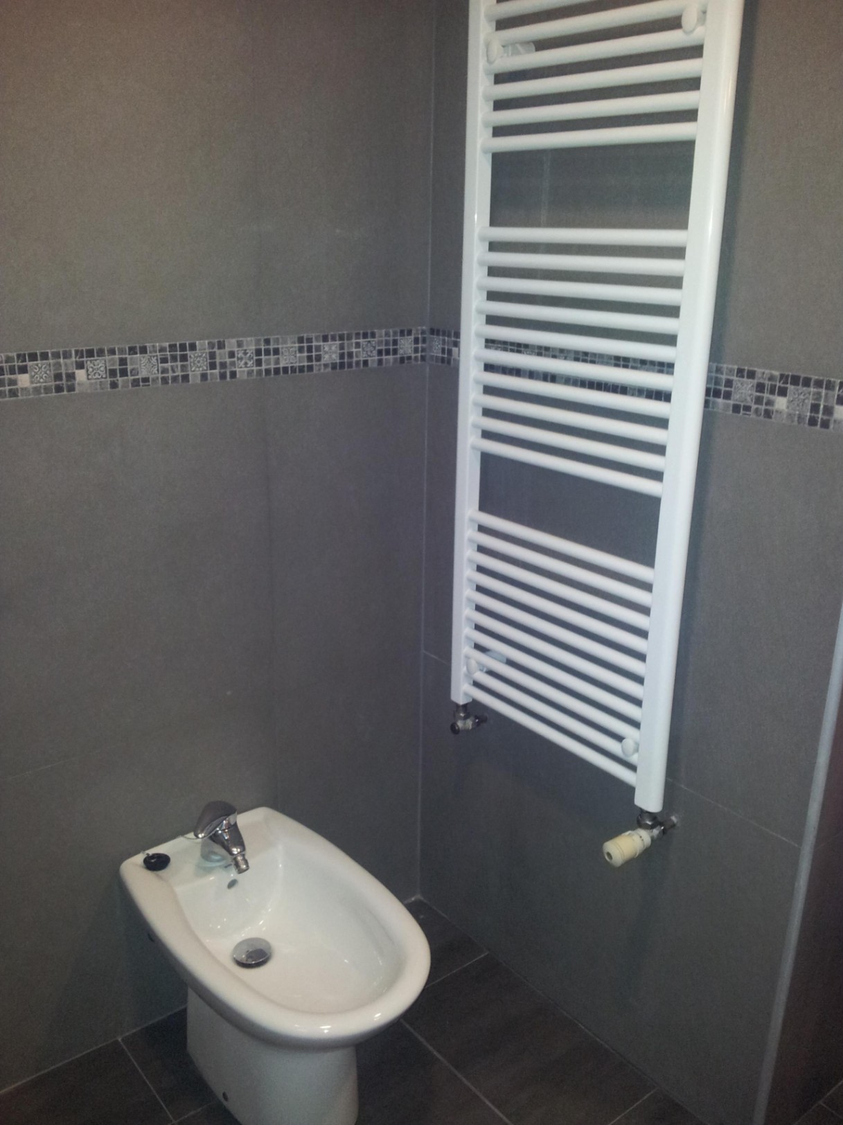 Coin salle de bain avec carrelage gris et frise en mosaïque, comprenant un bidet en céramique blanche et un sèche-serviettes mural.