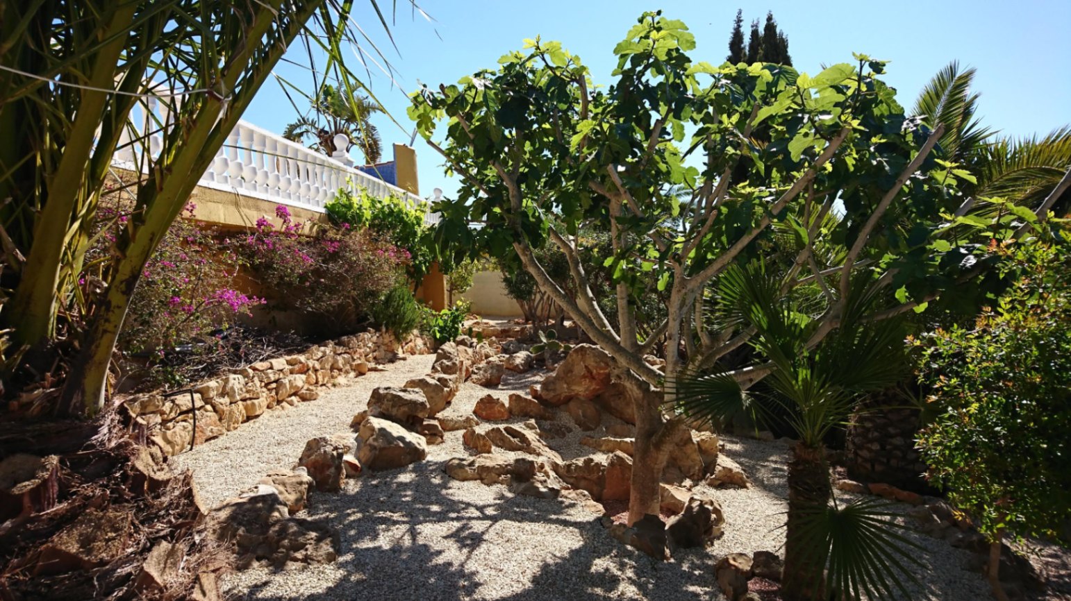 Jardin méditerranéen avec allées de gravier, rochers ornementaux et végétation variée comprenant un figuier et des bougainvilliers sous une balustrade blanche.