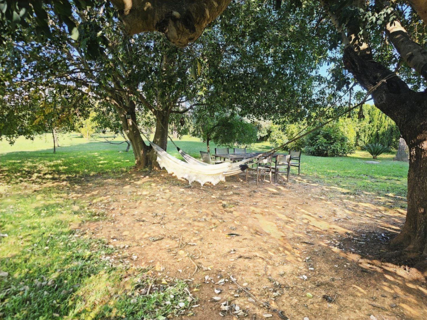Espace de repos ombragé par de grands arbres, équipé d'un hamac blanc et d'un coin repas extérieur au cœur d'un jardin soigné.