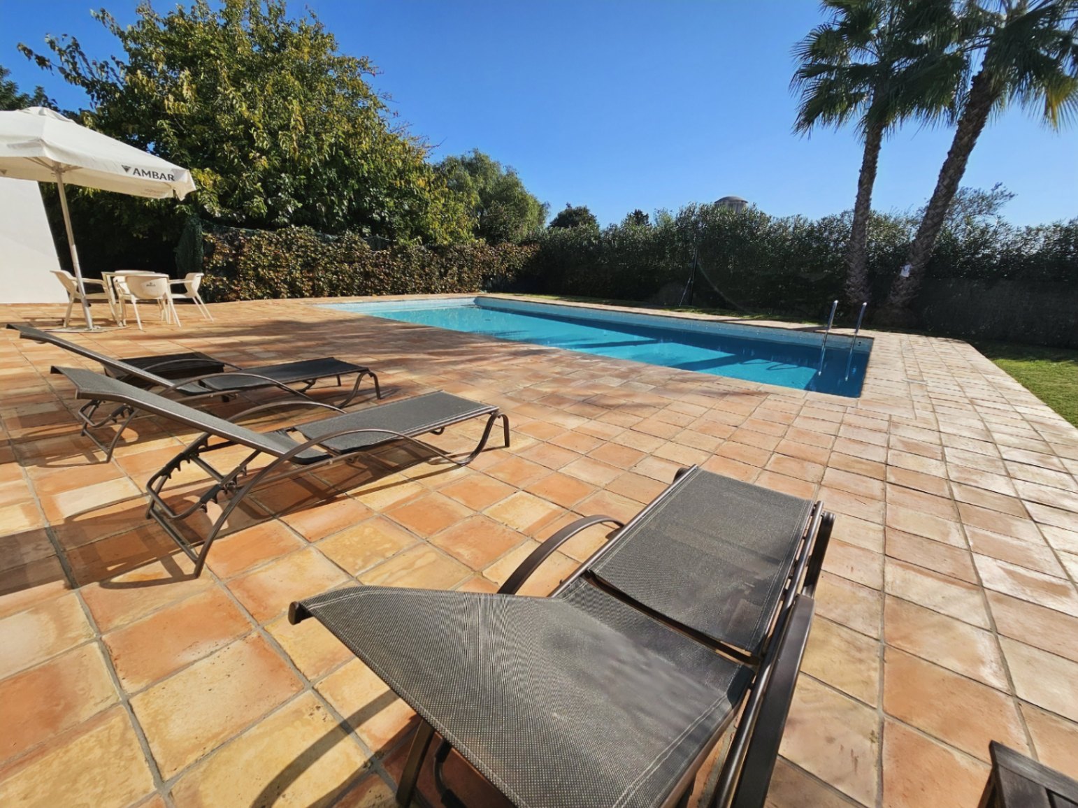 Espace piscine avec une vaste terrasse en terre cuite artisanale, équipée de bains de soleil et bordée de palmiers et d'une végétation dense.