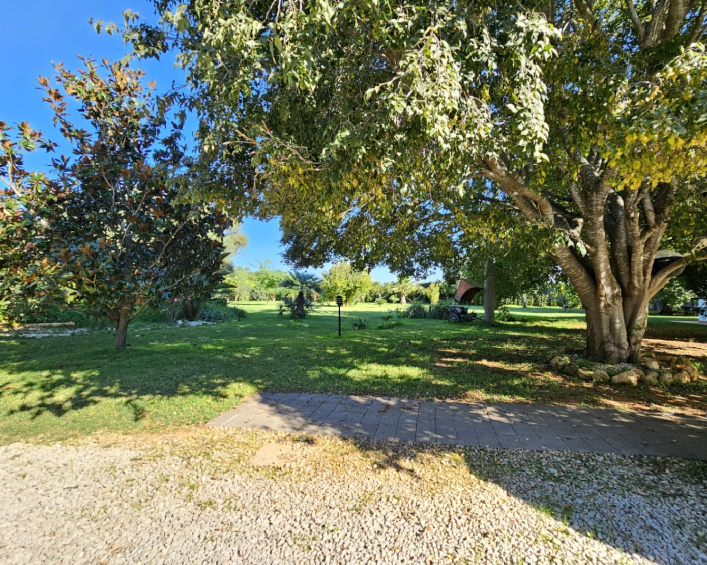 Jardin méditerranéen soigné avec de grands arbres matures offrant de l'ombre, une vaste pelouse et des allées en gravier et pavés.