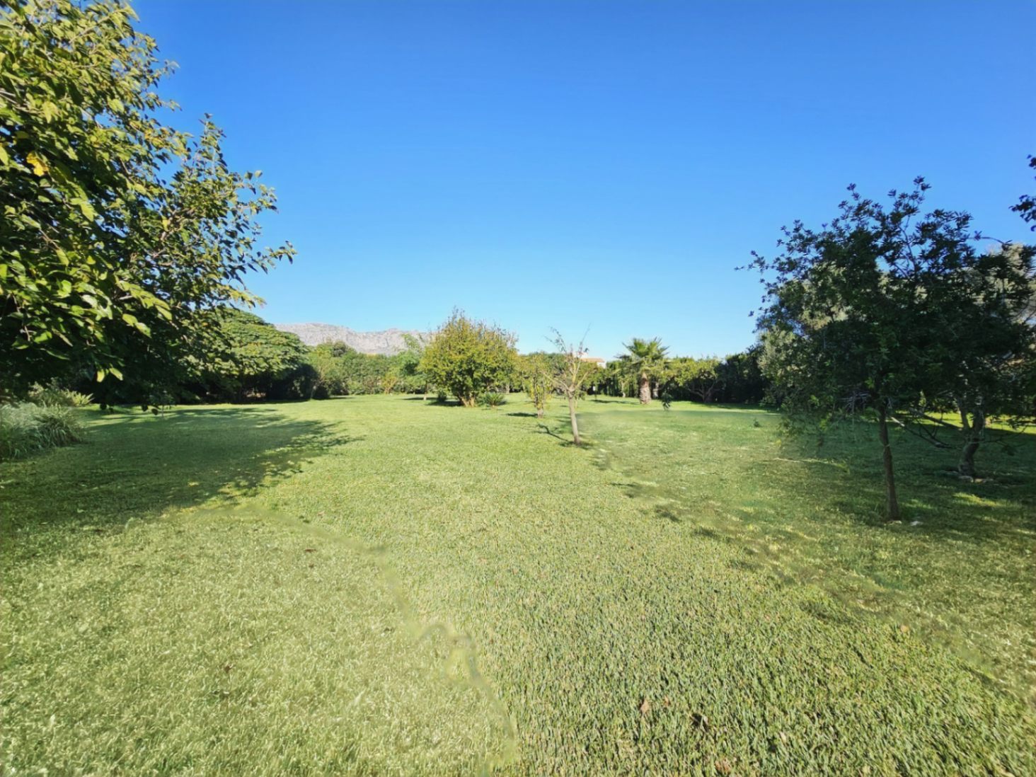 Vaste jardin avec pelouse entretenue, arbres fruitiers et palmiers, offrant une vue dégagée sur les montagnes environnantes sous un ciel azur.