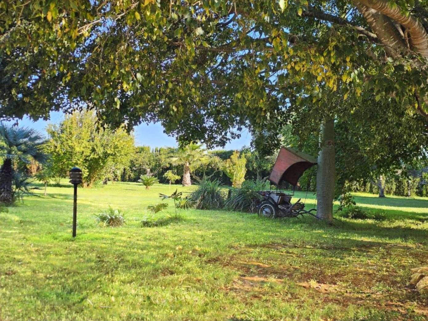 Vaste jardin paysager avec pelouse entretenue, arbres matures offrant de l'ombre et une calèche décorative nichée sous le feuillage verdoyant.