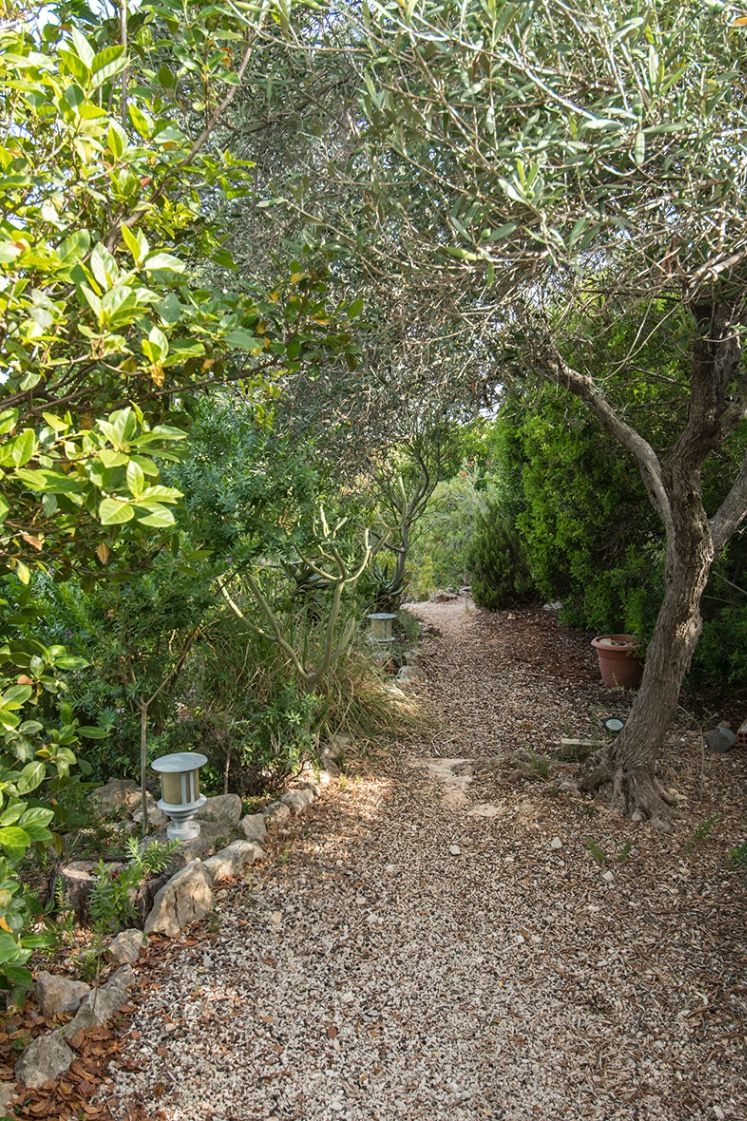 Allée de gravier serpentant à travers un jardin méditerranéen luxuriant, bordée d'oliviers, de plantes succulentes et de luminaires extérieurs discrets.