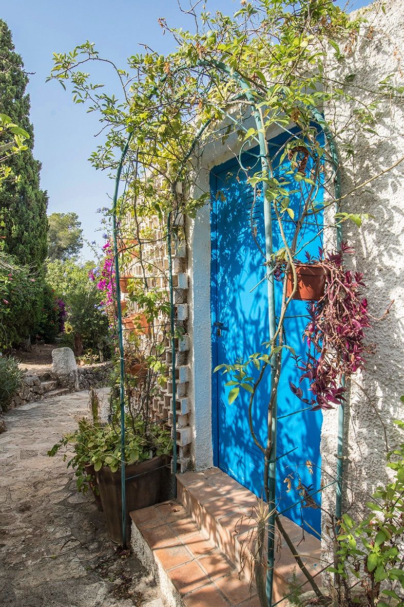 Porte bleue vive encadrée par une arche métallique et des plantes grimpantes, bordée d'un chemin en pierre naturelle dans le jardin.