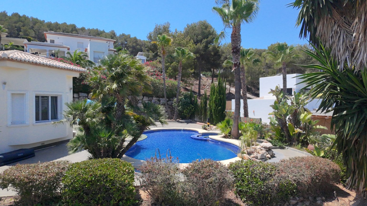 Piscine de forme libre nichée dans un jardin méditerranéen avec palmiers et rocailles, offrant un cadre privé à côté de la structure blanche de la villa.