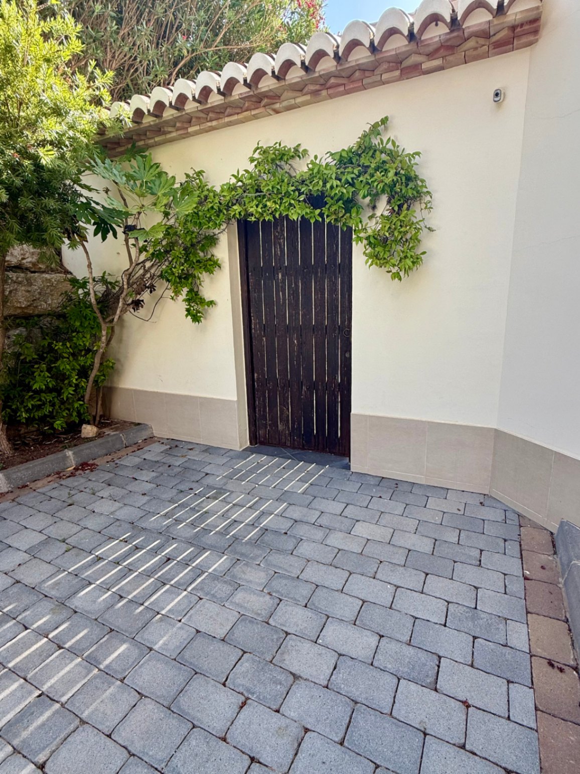 Porte en bois sombre de style rustique encadrée par une plante grimpante, avec un sol en pavés gris et une toiture en tuiles méditerranéennes.